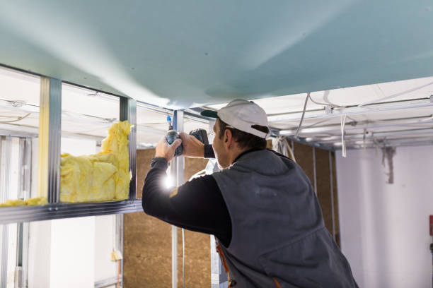 Best Commercial Insulation in Carlyle, IL