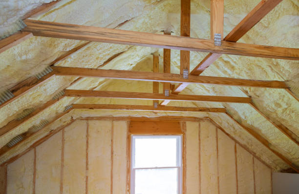 Best Insulation Maintenance and Repair in Carlyle, IL