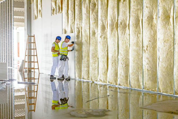Best Insulation Maintenance and Repair in Carlyle, IL